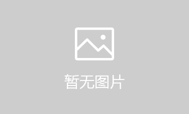 樂山市張文易商貿有限公司