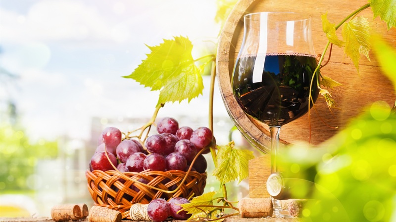 Content red grapes wine 3840x2160