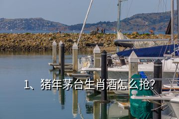 1、豬年茅臺(tái)生肖酒怎么搶？