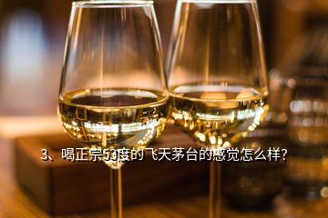 3、喝正宗53度的飛天茅臺的感覺怎么樣？