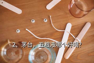 2、茅臺，五糧液哪個好喝？