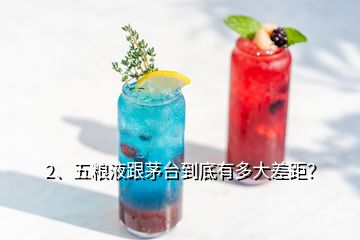 2、五糧液跟茅臺到底有多大差距？