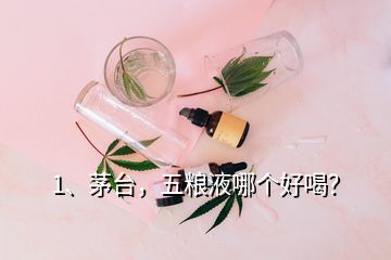 1、茅臺，五糧液哪個好喝？