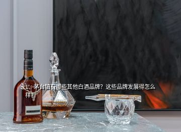 1、茅臺鎮(zhèn)有哪些其他白酒品牌？這些品牌發(fā)展得怎么樣？