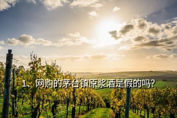 1、網(wǎng)購的茅臺(tái)鎮(zhèn)原漿酒是假的嗎？