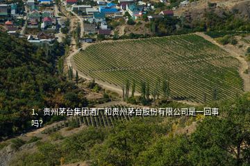 1、貴州茅臺集團(tuán)酒廠和貴州茅臺股份有限公司是一回事嗎？