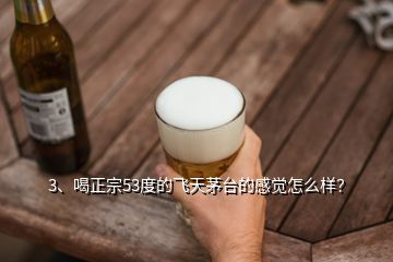 3、喝正宗53度的飛天茅臺的感覺怎么樣？