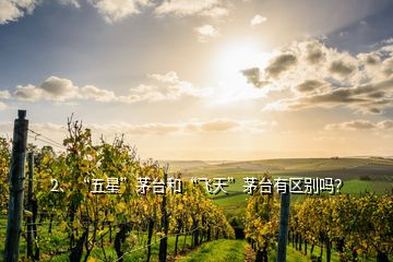 2、“五星”茅臺(tái)和“飛天”茅臺(tái)有區(qū)別嗎？