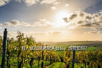 2、有人試過燒烤配茅臺么，感覺如何？