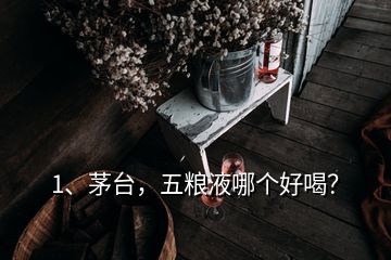 1、茅臺，五糧液哪個好喝？