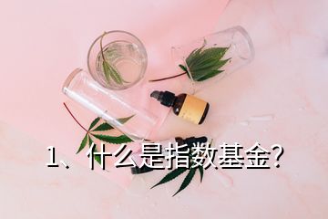 1、什么是指數(shù)基金？