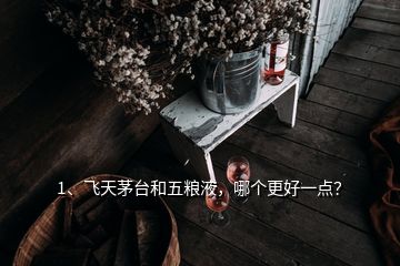 1、飛天茅臺和五糧液，哪個更好一點？