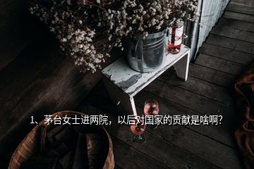 1、茅臺女士進兩院，以后對國家的貢獻是啥啊？