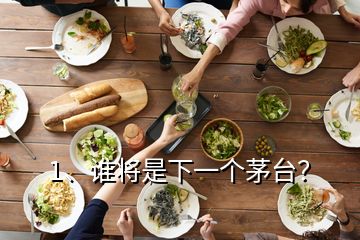 1、誰(shuí)將是下一個(gè)茅臺(tái)？