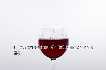 1、茅臺鎮(zhèn)有多少家酒廠呀？他們比國酒茅臺差在哪里呢？