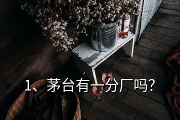 1、茅臺有一分廠嗎？