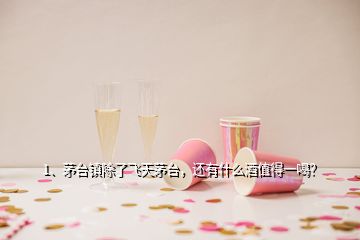 1、茅臺鎮(zhèn)除了飛天茅臺，還有什么酒值得一喝？