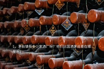 1、茅臺鎮(zhèn)有多少家酒廠呀？他們比國酒茅臺差在哪里呢？