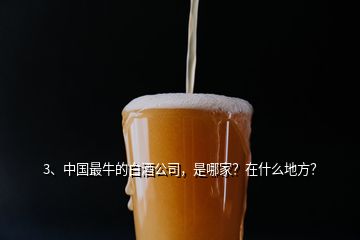 3、中國最牛的白酒公司，是哪家？在什么地方？