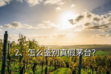 2、怎么鑒別真假茅臺？