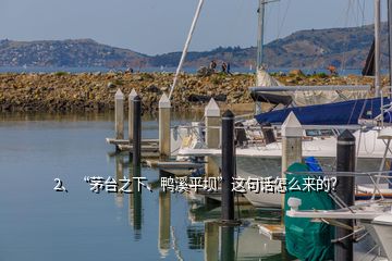 2、“茅臺之下、鴨溪平壩”這句話怎么來的？