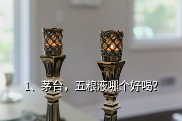 1、茅臺(tái)，五糧液哪個(gè)好喝？