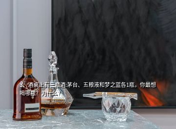 3、酒桌上有三瓶酒:茅臺、五糧液和夢之藍(lán)各1瓶，你最想喝哪瓶？為什么？