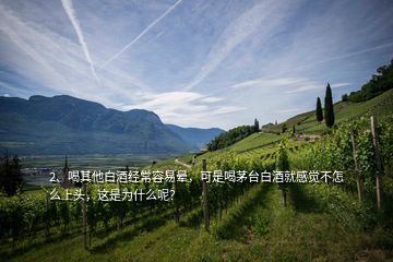 2、喝其他白酒經(jīng)常容易暈，可是喝茅臺白酒就感覺不怎么上頭，這是為什么呢？