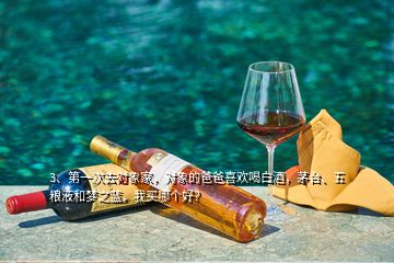 3、第一次去對象家，對象的爸爸喜歡喝白酒，茅臺、五糧液和夢之藍，我買哪個好？