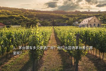 3、茅臺鎮(zhèn)有多少家酒廠呀？他們比國酒茅臺差在哪里呢？