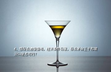 4、想存點酒慢慢喝，經(jīng)濟條件有限，存點茅臺王子和玻汾53是否可行？