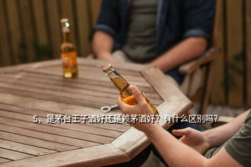 5、是茅臺(tái)王子酒好還是賴茅酒好？有什么區(qū)別嗎？