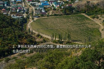 2、茅臺五天跌掉2500億市值，基金抱團拉升后為什么不在高位出貨？