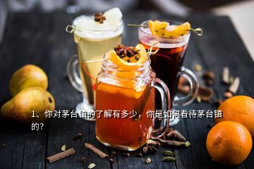 1、你對(duì)茅臺(tái)鎮(zhèn)的了解有多少，你是如何看待茅臺(tái)鎮(zhèn)的？