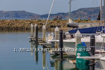 1、為什么叫飛天茅臺(tái)？飛天和五星的區(qū)別是什么？