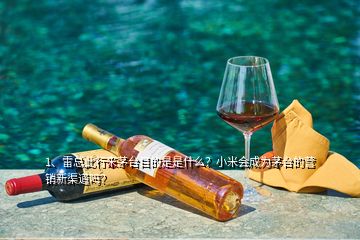 1、雷總此行來茅臺目的是是什么？小米會成為茅臺的營銷新渠道嗎？