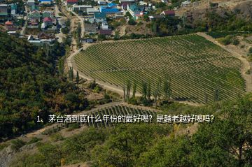 1、茅臺酒到底什么年份的最好喝？是越老越好喝嗎？