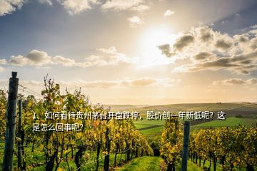 1、如何看待貴州茅臺(tái)開盤跌停，股價(jià)創(chuàng)一年新低呢？這是怎么回事呢？