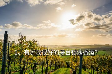 1、有哪款很好的茅臺(tái)鎮(zhèn)醬香酒？