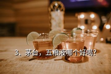 3、茅臺，五糧液哪個好喝？