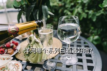 3、洋河哪個系列白酒最好喝？