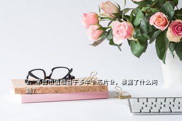 2、茅臺(tái)市值相當(dāng)于多半個(gè)芯片業(yè)，暴露了什么問題？