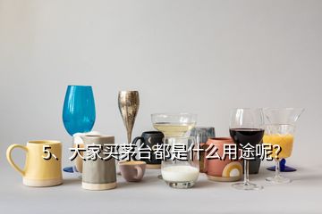 5、大家買茅臺都是什么用途呢？