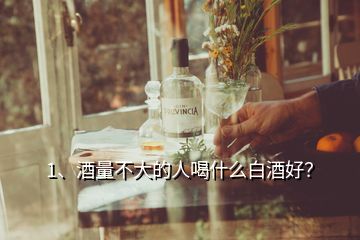 1、酒量不大的人喝什么白酒好？