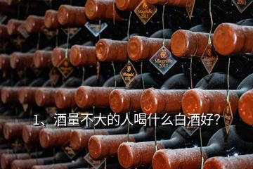 1、酒量不大的人喝什么白酒好？