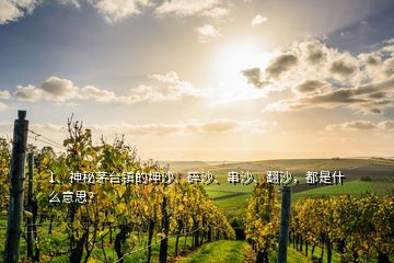 1、神秘茅臺鎮(zhèn)的坤沙、碎沙、串沙、翻沙，都是什么意思？