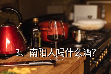 3、南陽(yáng)人喝什么酒？