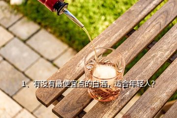 1、有沒有最便宜點(diǎn)的白酒，適合年輕人？