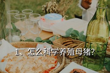 1、怎么科學(xué)養(yǎng)殖母豬？