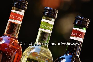 3、開發(fā)了一款52度瀘州產(chǎn)白酒，有什么銷售建議？